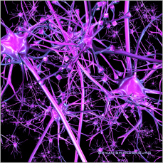 3d-neouron-field-bryan-brandenburg-900x900